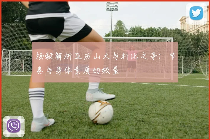 杨毅解析亚历山大与科比之争：节奏与身体素质的较量